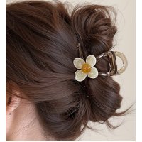 HA292 - Korean Simple Hair Clip